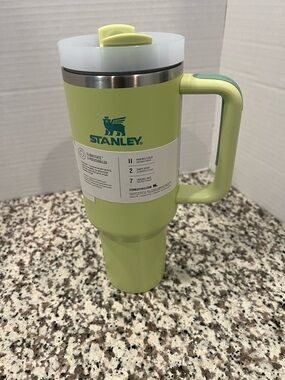 Stanley Light Green Mug with Handle and Flip Lid 40 Oz New